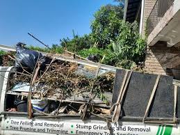 Best Dumpster Rental Services  in Fredericksburg, VA